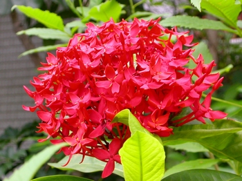 ���y������