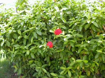 �j���P��