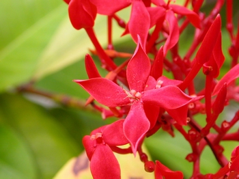 �j���P���᪺�Q�r��ä