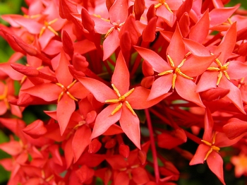 �G�P������