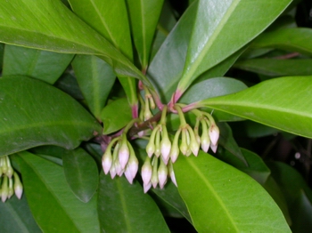 �����X����c