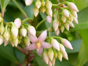 ���ݨ��?�@����w�g�}�F