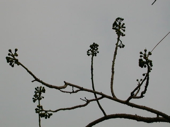 �N����֪�c