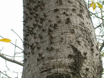 ��F�W���F����